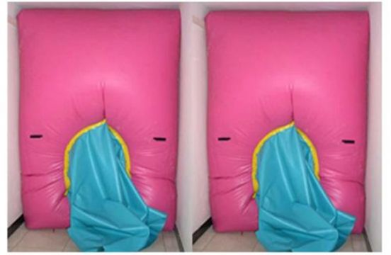 點擊查看詳細信息<br>標題：快速封堵氣囊 閱讀次數：2729